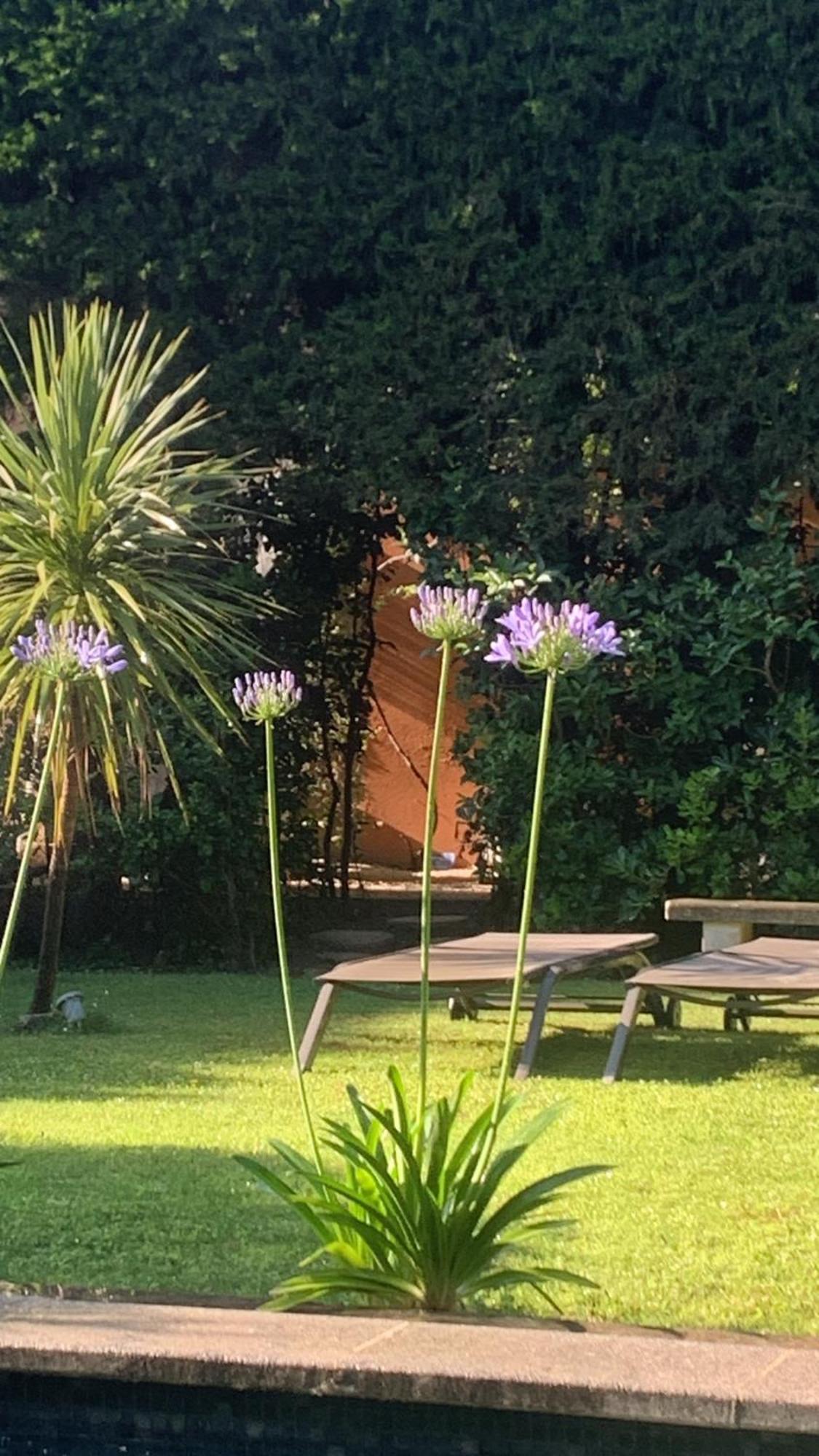 Bed and Breakfast La Demeure Eyguieres Екстер'єр фото